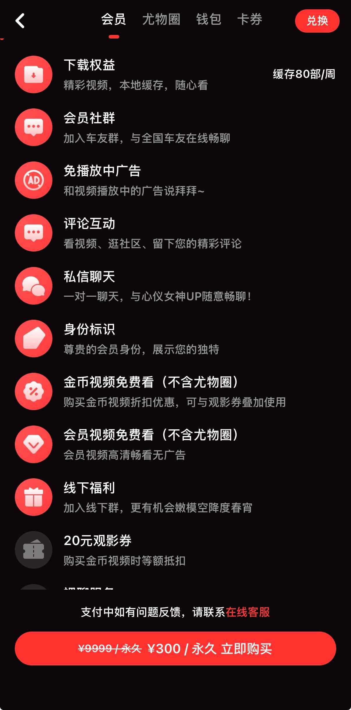 糖心Vlog会员300元套餐界面